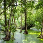 Top Places in Lagos to Visit – Explore Nigeria’s City of Dreams