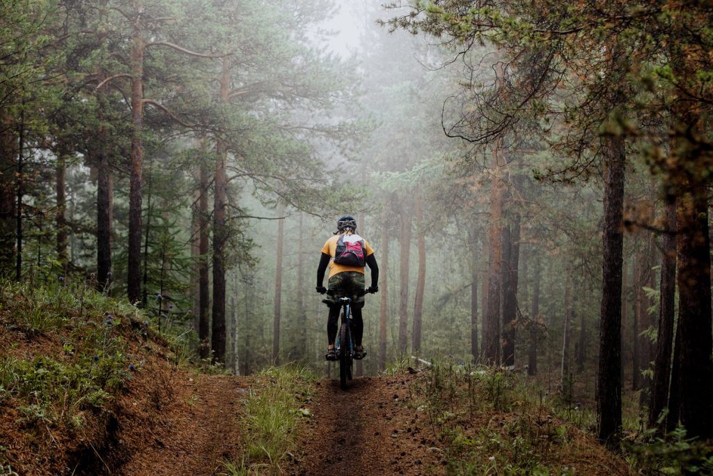 mountain bikes