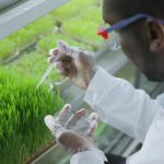 Boost Crop Quality with Agricultural Sampling and Laboratory Testing in Nigeria