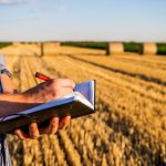 How Agricultural Damage and Claim Surveys Protect Nigerian Farmers and Exporters