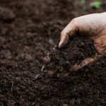 Agricultural Fertilizer Composition Testing in Nigeria