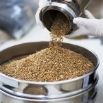 Mycotoxin Testing in Grain Shipments: Protecting Health and Trade
