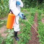 VIP Executive Travel Logistics in Ghana