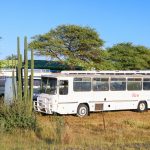 How Much Is Abuja to Lagos by Road? Affordable Travel Options in Nigeria