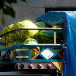 Pickup and Delivery from Local Market in Nigeria | Travo.ng Logistics Guide