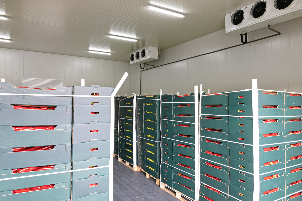 Refrigerated Freight Services Nigeria 2026 | Cold Chain Logistics Guide