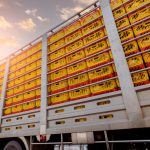 ECOWAS Cross Border Trucking Services for Fast Regional Trade