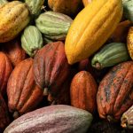 Cocoa Transport Ondo to Lagos Export: Reliable Logistics for Cocoa Exporters