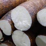 Reliable Cassava Transport Services in West Africa for Businesses