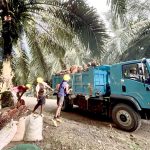 Cheap Farm Produce Transport in Nigeria for Farmers and Food Businesses