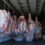 Meat Transportation Nigeria