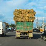 Cashew Export Logistics in Naira (Nigeria Export Shipping Guide)