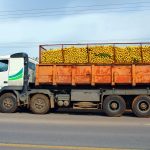 Agricultural Export Shipping in Naira (Nigeria Export Logistics Guide)
