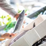 Cold Chain Compliance in Nigeria — Meaning & Guide (2026)