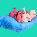 Organ Transport in Nigeria and How to Move Critical Medical Items Safely