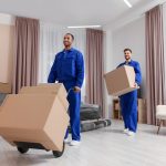 Expat Relocation Nigeria to Canada Made Easier With Proper Planning
