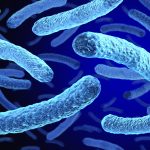 Infectious Sample Transport in Nigeria for Hospitals, Labs and Health Teams