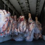Short-Term Cold Storage in Lagos — Meaning & Guide (2026)