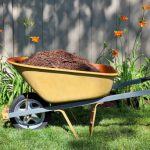 Garden Waste Collection in Abuja: Reliable Green Waste Removal with Travo.ng