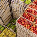 Protect Fresh Products With Perishable Goods Logistics Nigeria