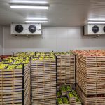 Protect Farm Produce With Cold Storage for Farmers Nigeria