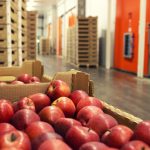 Book a Reliable Cold Warehouse in Nigeria