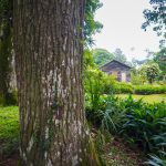 Private Transfer to Aburi Botanical Gardens