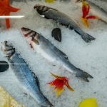 Keep Seafood Fresh With Fish Cold Storage in Nigeria