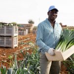 Buy Agricultural Supplies in Nigeria From Abroad