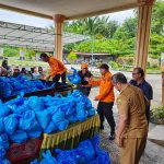 Flood Relief Delivery Nigeria from Abroad