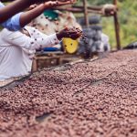 Farm Investment Due Diligence Before Putting Money Into Nigerian Agriculture
