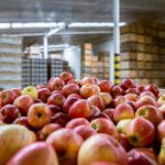Food Air Freight Customs Clearance Nigeria Made Easier