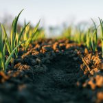 Soil Fertility Mapping for Smarter Farm Planning in Nigeria