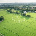 Farm Mapping Services for Better Farm Planning in Nigeria