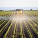 Fertilizer Import Clearance Nigeria Without Costly Port Delays