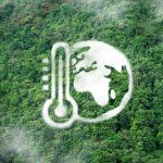 Climate Disaster Response in Nigeria for Fast Emergency Support