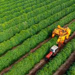 Large Farm Management Services for Efficient Farm Operations in Nigeria