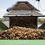 Crop Yields Are Falling and Nigerian Farmers Need Better Logistics