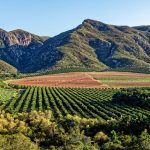 Agricultural Land Assessment for Smarter Farming Decisions