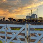 Farm Expansion Planning for Growing Agricultural Operations