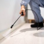 Pest Control Nigeria From Overseas