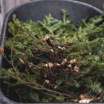 Tree Cutting Waste Removal Accra