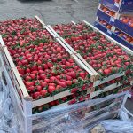 Bulk Product Sourcing in Nigeria