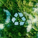 Organic Compost Service in Lagos for Homes and Businesses