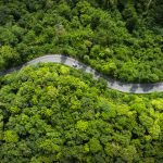 Reduce Company Carbon Footprint in Lagos With Smarter Logistics