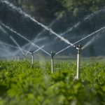 Water Supply for Agricultural Use in Lagos