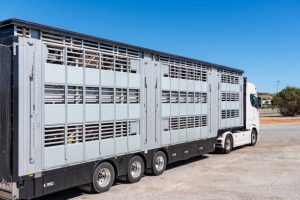 Animal Transport Vehicles Nigeria: Ventilated Trucks, Trailers, Vans and Crates