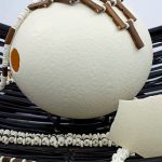 SME Import Solutions
