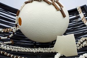 SME Import Solutions