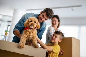 Dog Breeder Delivery Nigeria